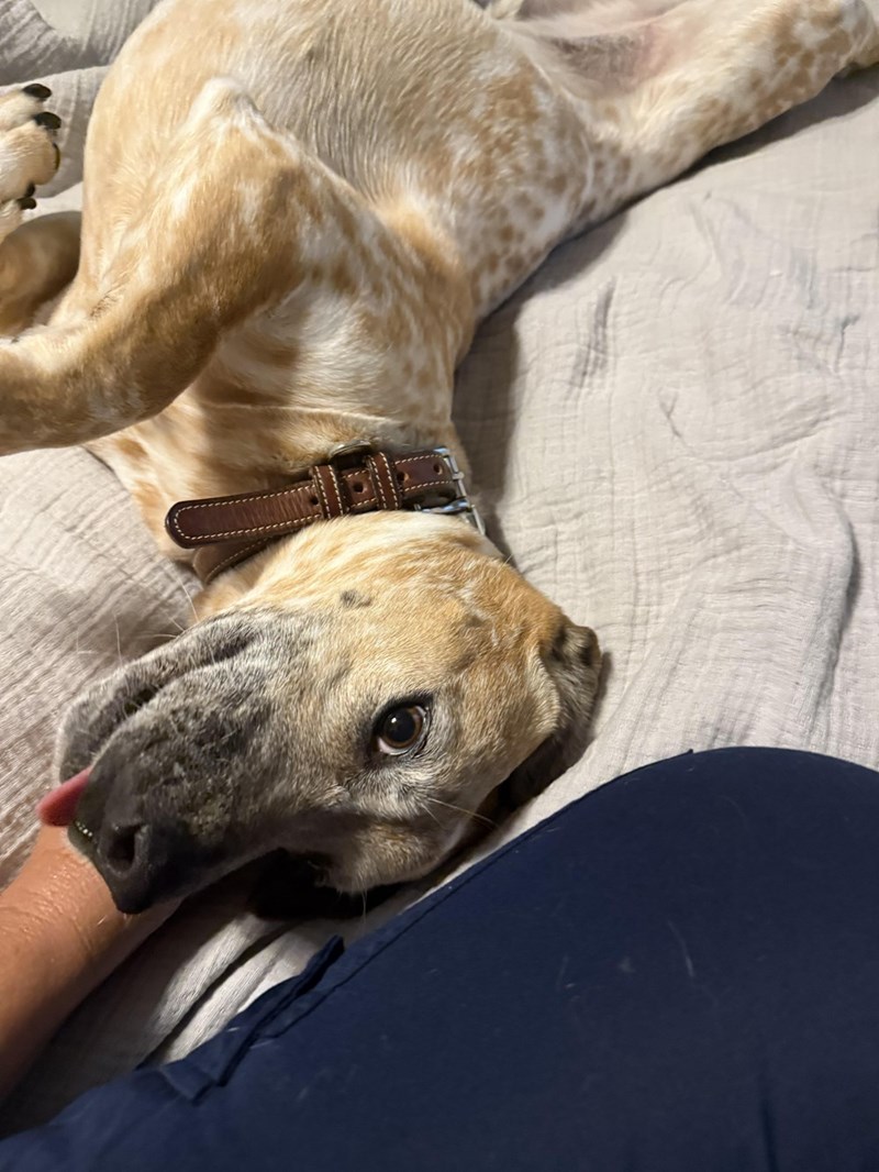 Cheezburger Image 10614218240