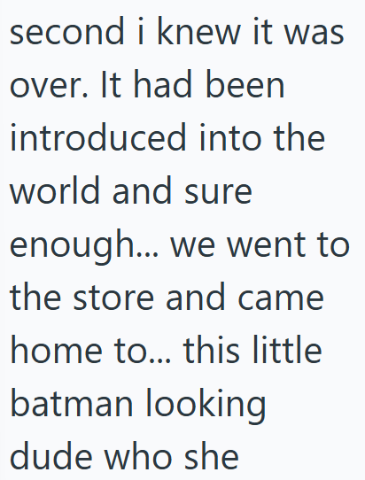 second i knew it was over. It had been introduced into the world and sure enough... we went to the store and came home to... this little batman looking dude who she