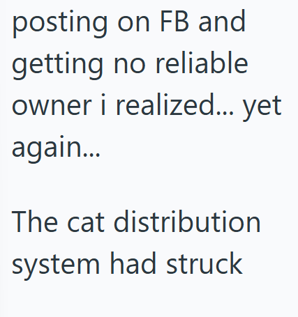 posting on FB and getting no reliable owner i realized... yet again... The cat distribution system had struck
