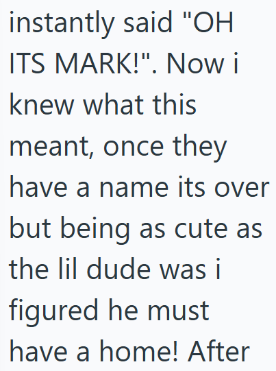 instantly said "OH ITS MARK!". Now i knew what this meant, once they have a name its over but being as cute as the lil dude was i figured he must have a home! After