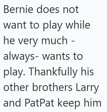 Bernie does not want to play while he very much - always- wants to play. Thankfully his other brothers Larry and PatPat keep him