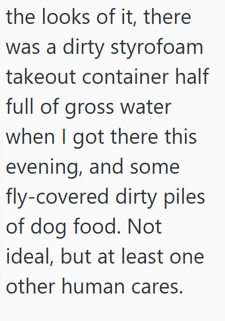 the looks of it, there was a dirty styrofoam takeout container half full of gross water when I got there this evening, and some fly-covered dirty piles of dog food. Not ideal, but at least one other human cares.