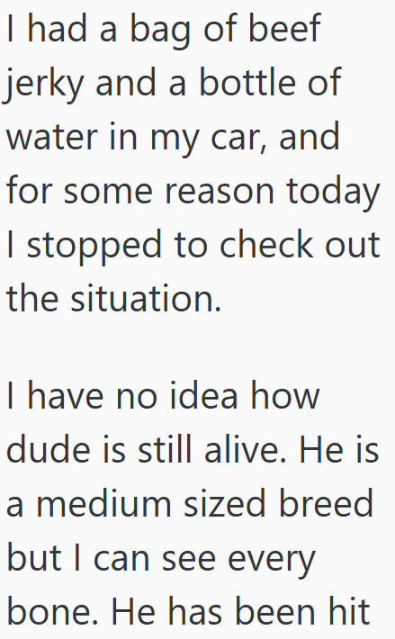 I had a bag of beef jerky and a bottle of water in my car, and for some reason today I stopped to check out the situation. I have no idea how dude is still alive. He is a medium sized breed but I can see every bone. He has been hit