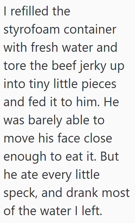 I refilled the styrofoam container with fresh water and tore the beef jerky up into tiny little pieces and fed it to him. He was barely able to move his face close enough to eat it. But he ate every little speck, and drank most of the water I left.