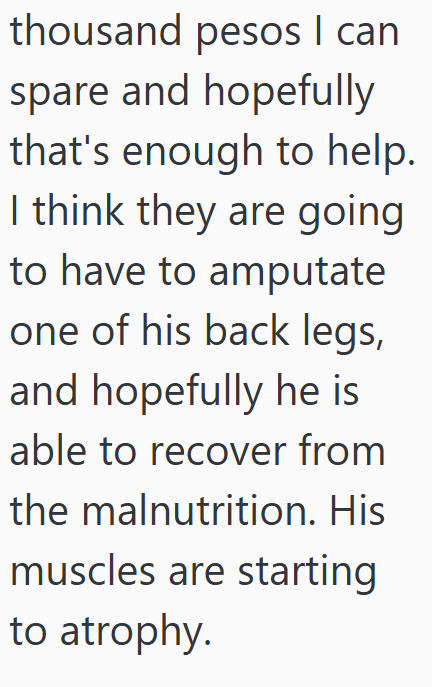 thousand pesos I can spare and hopefully that's enough to help. I think they are going to have to amputate one of his back legs, and hopefully he is able to recover from the malnutrition. His muscles are starting to atrophy.