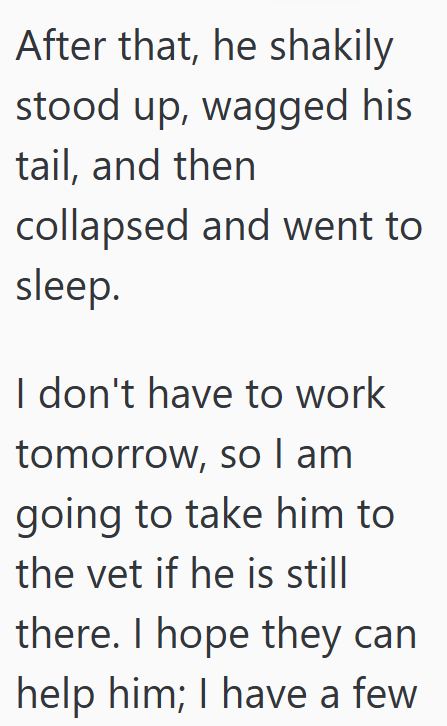 After that, he shakily stood up, wagged his tail, and then collapsed and went to sleep. I don't have to work tomorrow, so I am going to take him to the vet if he is still there. I hope they can help him; I have a few