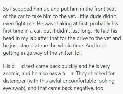 So I scooped him up and put him in the front seat of the car to take him to the vet. Little dude didn't even fight me. He was shaking at first, probably his first time in a car, but it didn't last long. He had his head in my lap after that for the drive to the vet and he just stared at me the whole time. And kept getting in tje way of the shifter, lol. His bid test came back quickly and he is very anemic, and he also has a for. They checked for distemper (with this awful uncomfortable looking ey