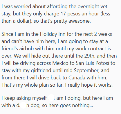 I was worried about affording the overnight vet stay, but they only charge 17 pesos an hour (less than a dollar), so that's pretty awesome. Since I am in the Holiday Inn for the next 2 weeks and can't have him here, I am going to stay at a friend's airbnb with him until my work contract is over. We will hide out there until the 29th, and then I will be driving across Mexico to San Luis Potosí to stay with my girlfriend until mid September, and from there I will drive back to Canada with him. Tha