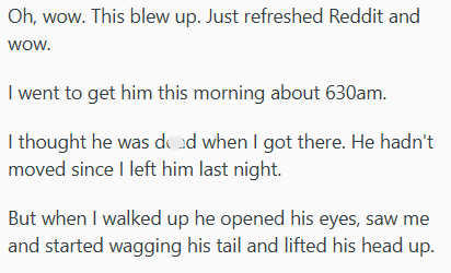 Oh, wow. This blew up. Just refreshed Reddit and Wow. I went to get him this morning about 630am. I thought he was dod when I got there. He hadn't moved since I left him last night. But when I walked up he opened his eyes, saw me and started wagging his tail and lifted his head up.