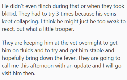 He didn't even flinch during that or when they took blod. They had to try 3 times because his veins kept collapsing. I think he might just be too weak to react, but what a little trooper. They are keeping him at the vet overnight to get him on fluids and to try and get him stable and hopefully bring down the fever. They are going to call me this afternoon with an update and I will go visit him then.