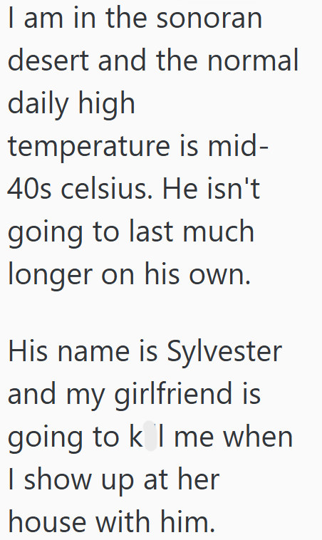 I am in the sonoran desert and the normal daily high temperature is mid- 40s celsius. He isn't going to last much longer on his own. His name is Sylvester and my girlfriend is going to k l me when I show up at her house with him.