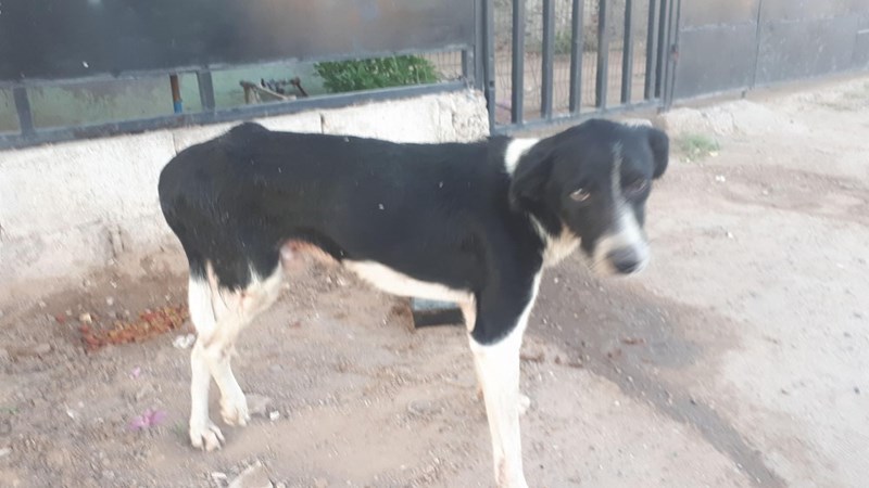 Cheezburger Image 10614244352