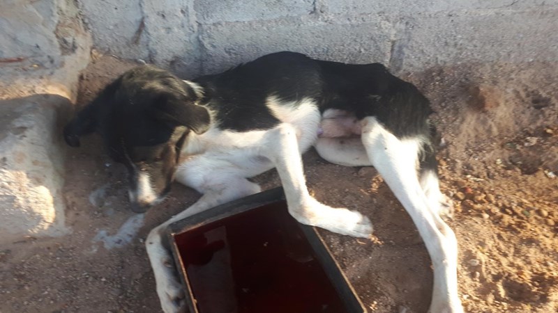 Cheezburger Image 10614244864