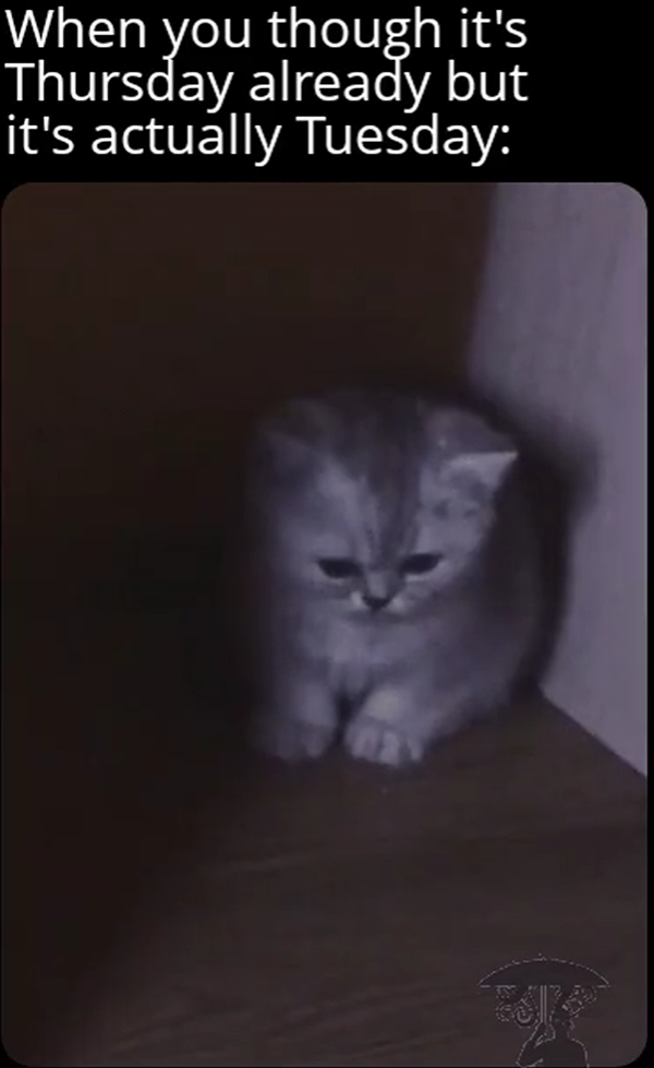 When you though it's Thursday already but it's actually Tuesday: