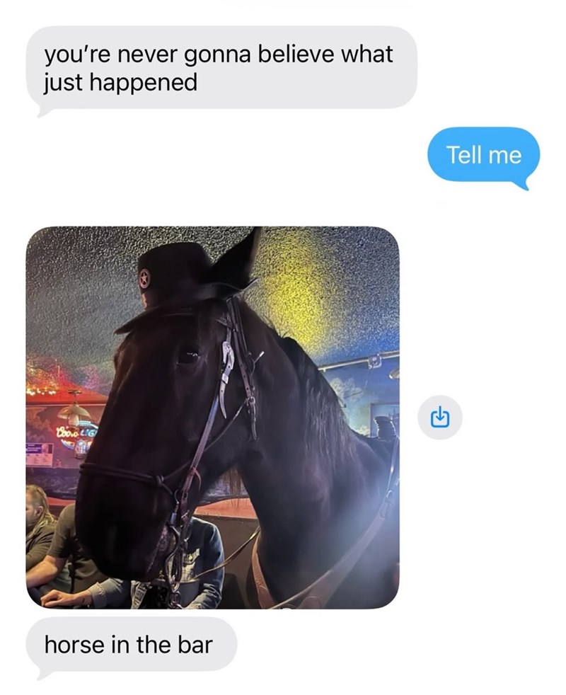 CooLIG you're never gonna believe what just happened horse in the bar G Tell me