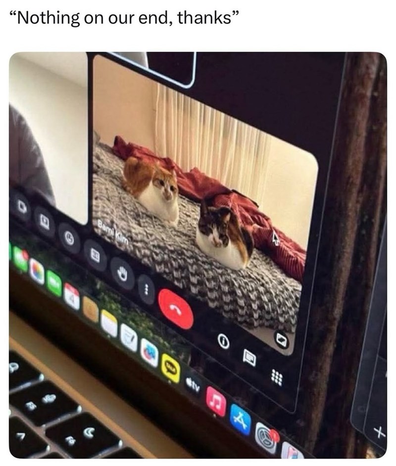 "Nothing on our end, thanks" Bami Kim A tv 4 X