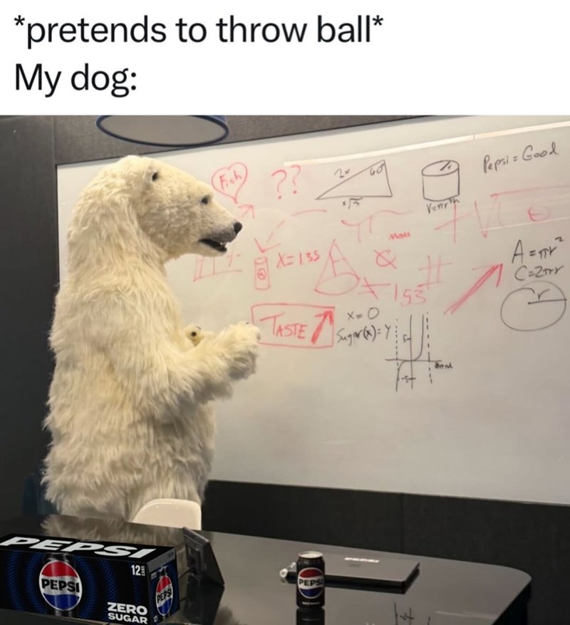 *pretends to throw ball* My dog: PEPSI 12 PEPSI ZERO SUGAR Fish ?? X=1.35 2- GO .S. TASTE S Sugar (x)=Y Mon Verh Pepsi = Good C=2TY 53 PEPSI PEPS
