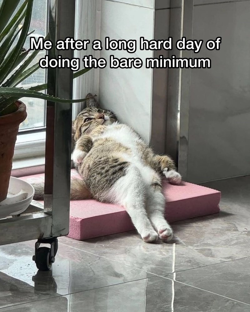 Me after a long hard day of doing the bare minimum