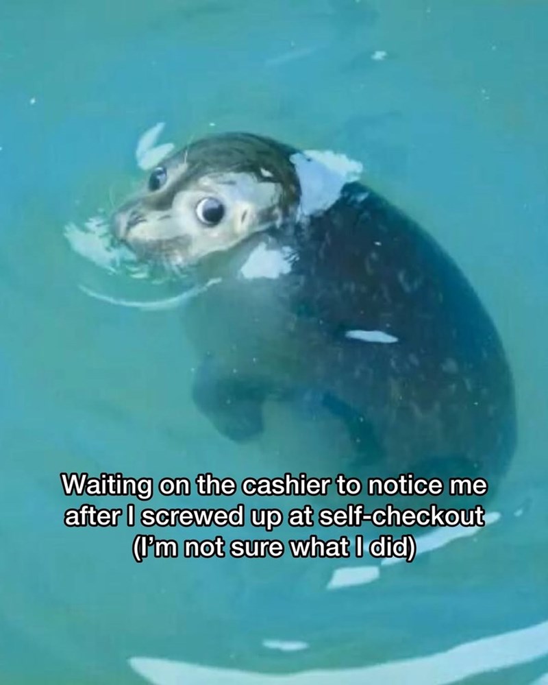 Waiting on the cashier to notice me after I screwed up at self-checkout (I'm not sure what I did)