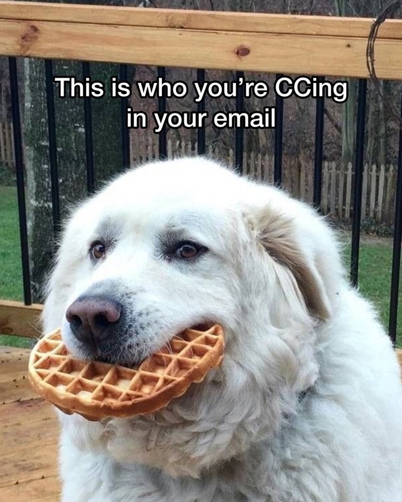 This is who you're CCing in your email