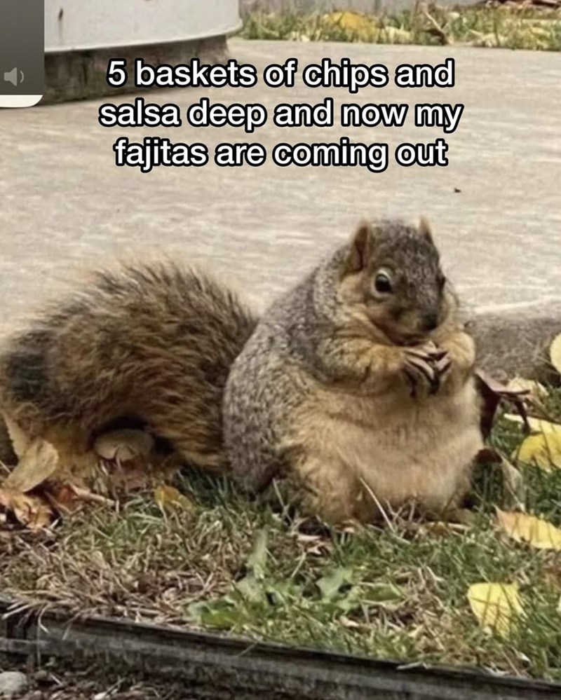 5 baskets of chips and salsa deep and now my fajitas are coming out