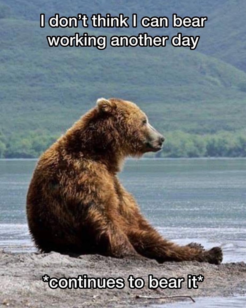 I don't think I can bear working another day *continues to bear it*