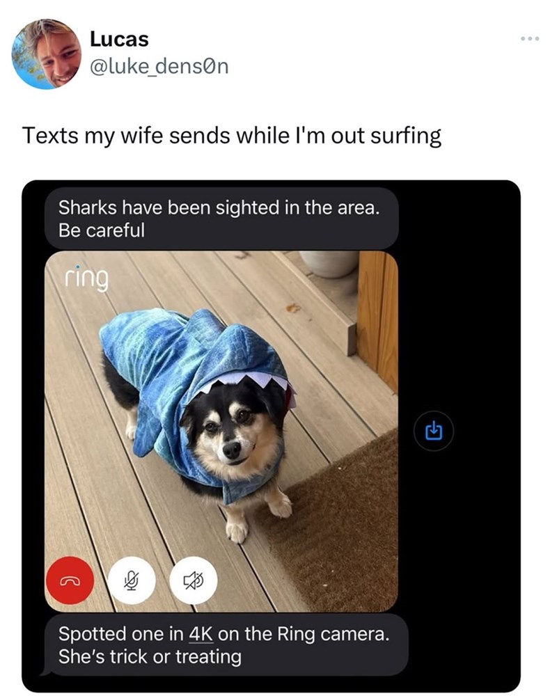 Lucas @luke_denson Texts my wife sends while I'm out surfing Sharks have been sighted in the area. Be careful ring يها f 600 F Spotted one in 4K on the Ring camera. She's trick or treating