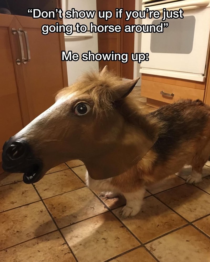 "Don't show up if you're just going to horse around" Me showing up: