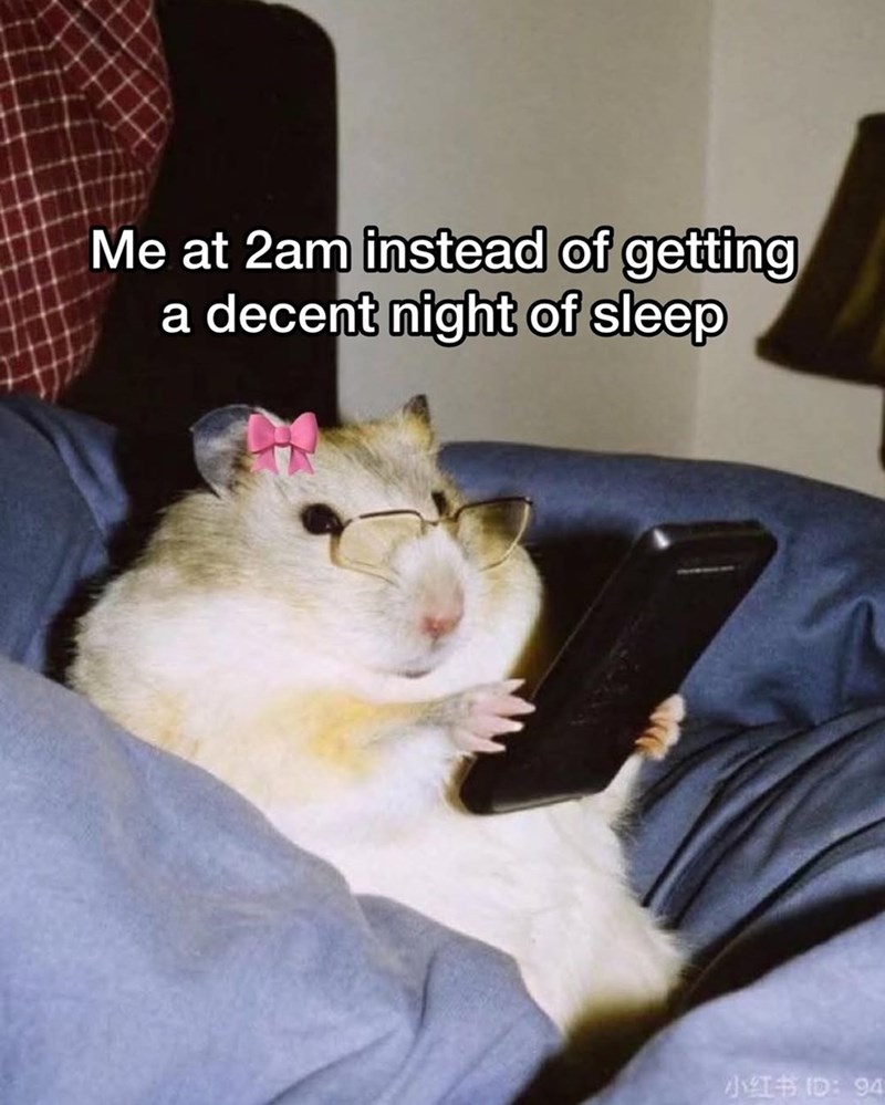 Me at 2am instead of getting a decent night of sleep 小红书 ID: 94