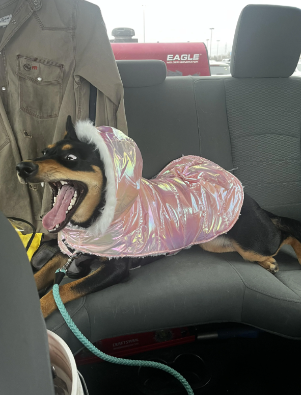 FR EAGLE™ WELDER/GENERATOR CRAFTSMAN