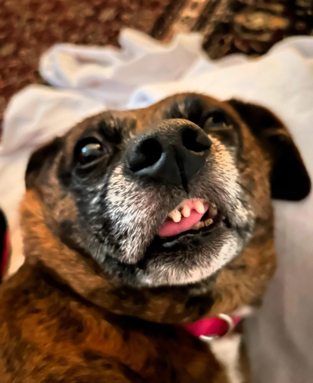 Cheezburger Image 10614256640