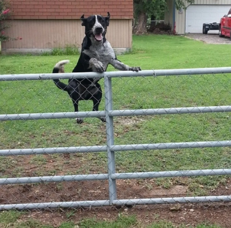 Cheezburger Image 10614256896