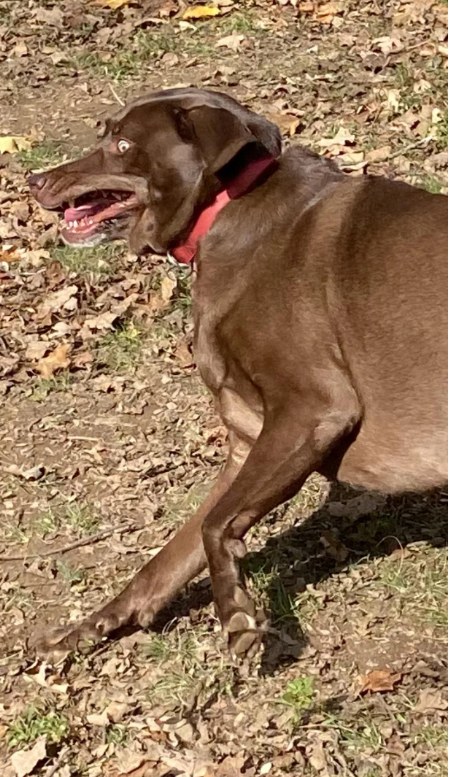 Cheezburger Image 10614258688