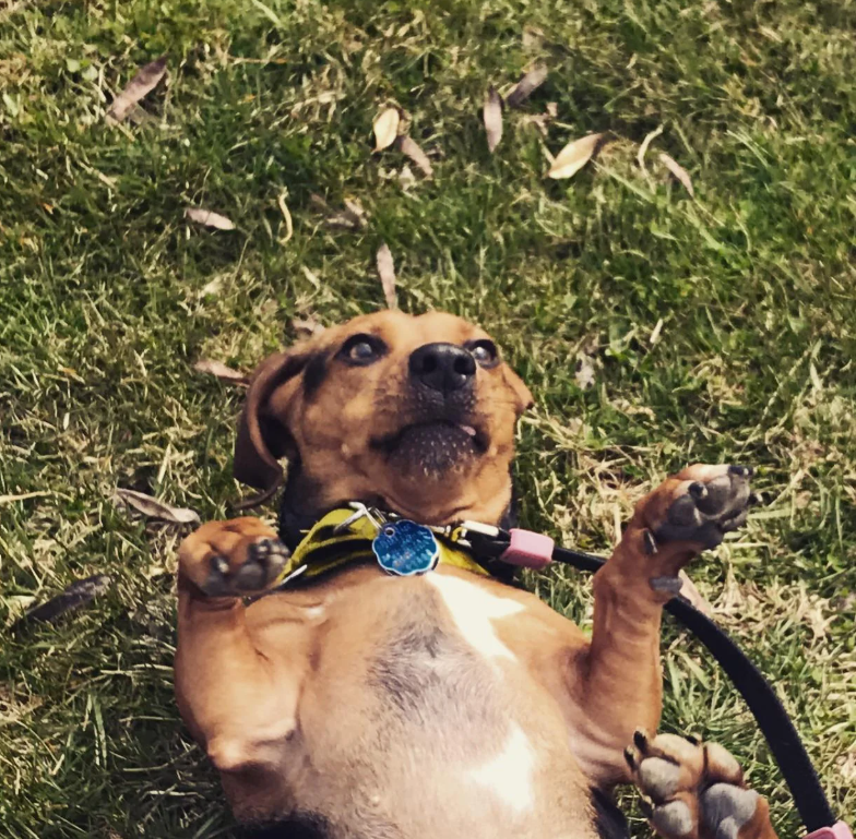 Cheezburger Image 10614259712