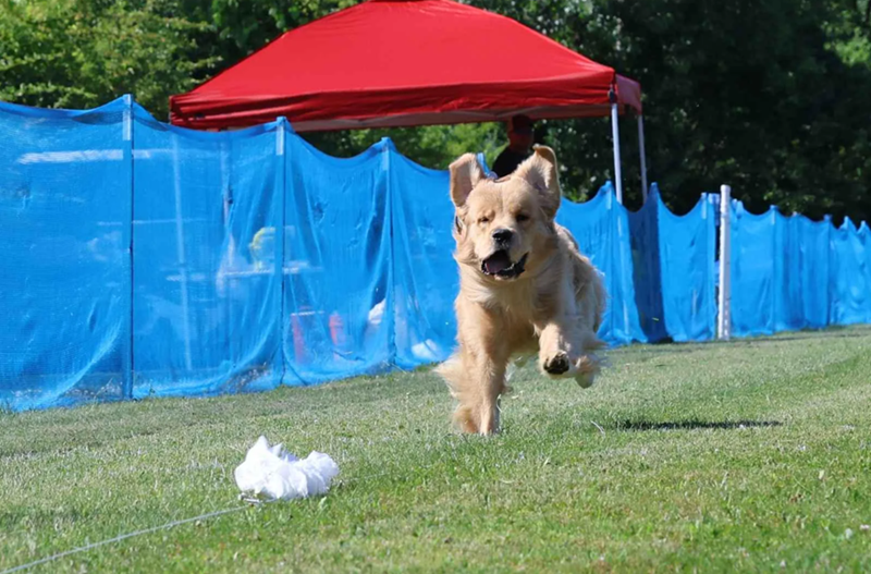 Cheezburger Image 10614259968