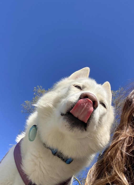 Cheezburger Image 10614260736