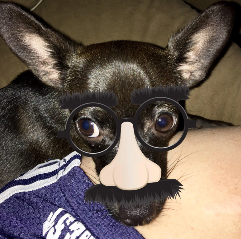 Cheezburger Image 10614261760