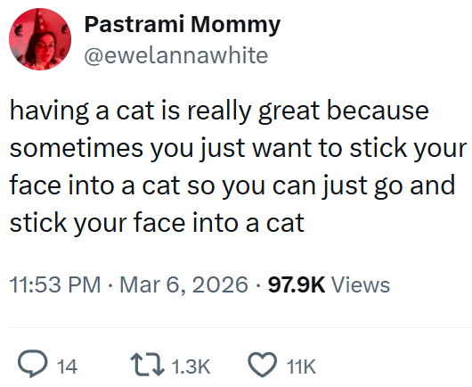 Pastrami Mommy @ewelannawhite having a cat is really great because sometimes you just want to stick your face into a cat so you can just go and stick your face into a cat 11:53 PM Mar 6, 2026 97.9K Views 14 1.3K 11K