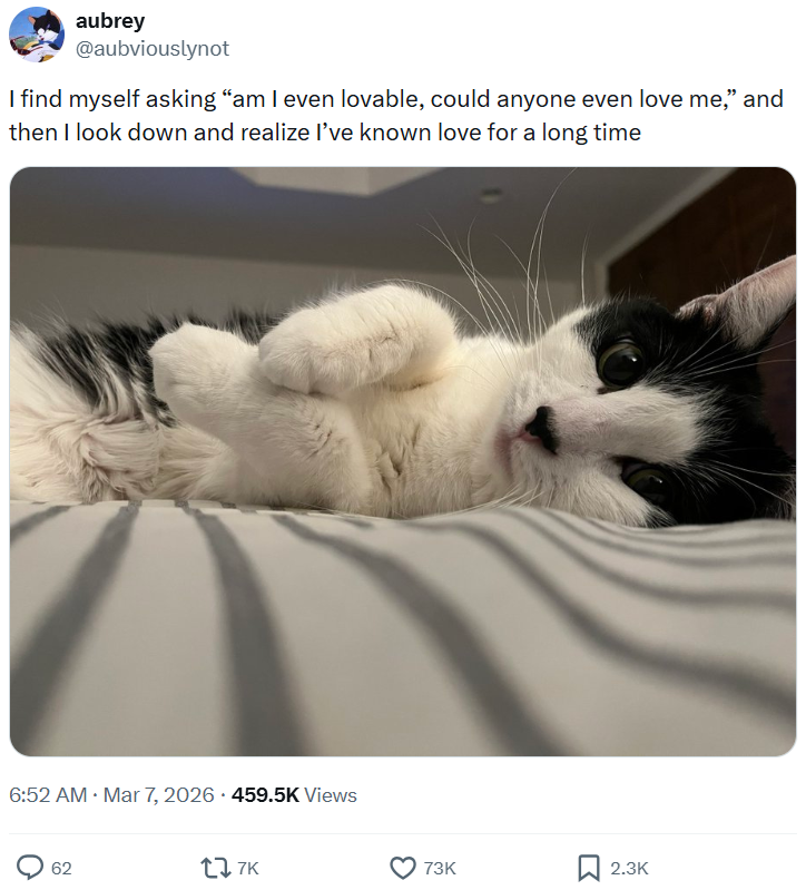 aubrey @aubviouslynot I find myself asking "am I even lovable, could anyone even love me," and then I look down and realize I've known love for a long time . 6:52 AM · Mar 7, 2026 459.5K Views 62 177K 73K 2.3K