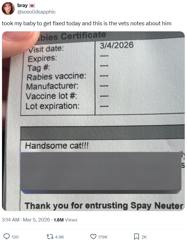 bray @sosolidsapphic took my baby to get fixed today and this is the vets notes about him bies Certificate Visit date: Expires: Tag #: Rabies vaccine: Manufacturer: Vaccine lot #: Lot expiration: Handsome cat!!! 3/4/2026 S Thank you for entrusting Spay Neuter 3:14 AM - Mar 5, 2026 -1.6M Views 130 14.9K 179K ☐ 2K