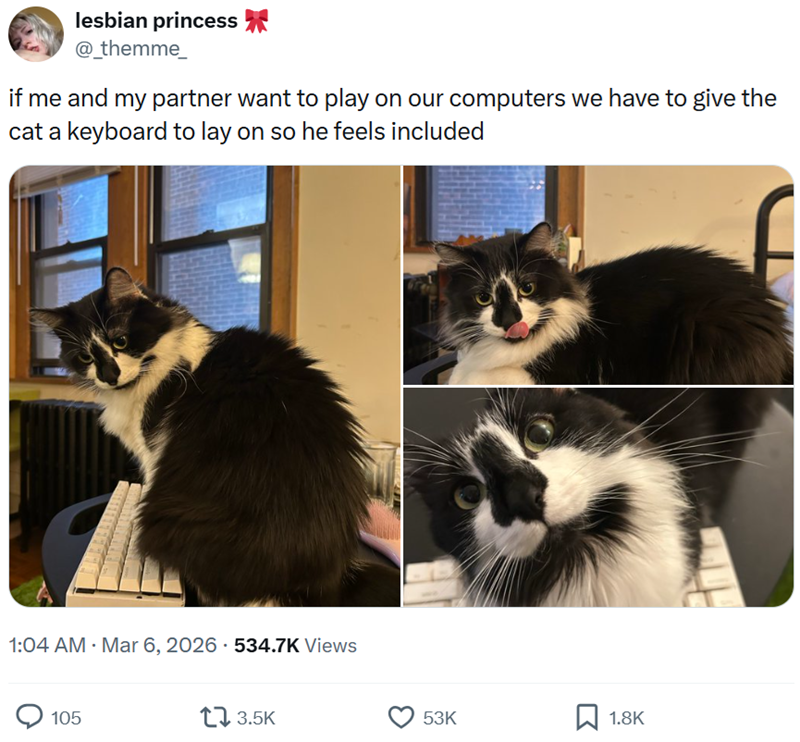 lesbian princess @_themme_ if me and my partner want to play on our computers we have to give the cat a keyboard to lay on so he feels included 1:04 AM · Mar 6, 2026 534.7K Views 105 17 3.5K 53K 1.8K