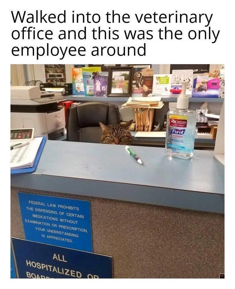 Walked into the veterinary office and this was the only employee around FEDERAL LAW PROHIBITS THE DISPENSING OF CERTAIN MEDICATIONS WITHOUT EXAMINATION OR PRESCRIPTION. YOUR UNDERSTANDING IS APPRECIATED. ALL HOSPITALIZED OR BOAR 2x Purell ADVANCED