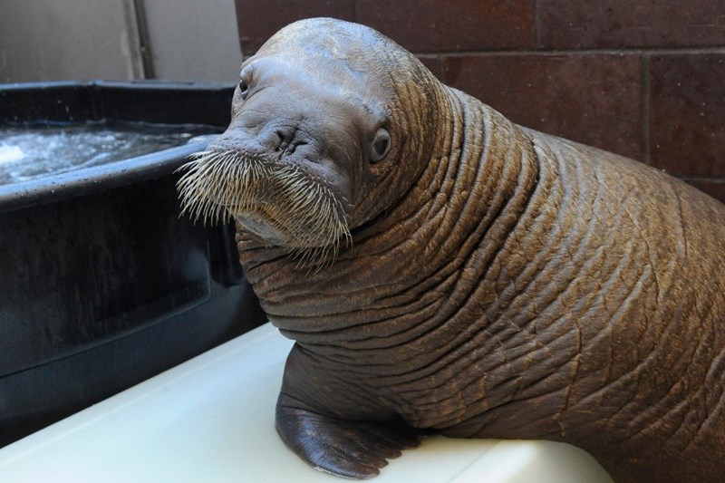 Cheezburger Image 10614269952