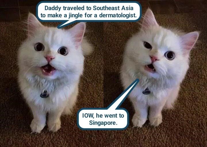 Cheezburger Image 10614283264