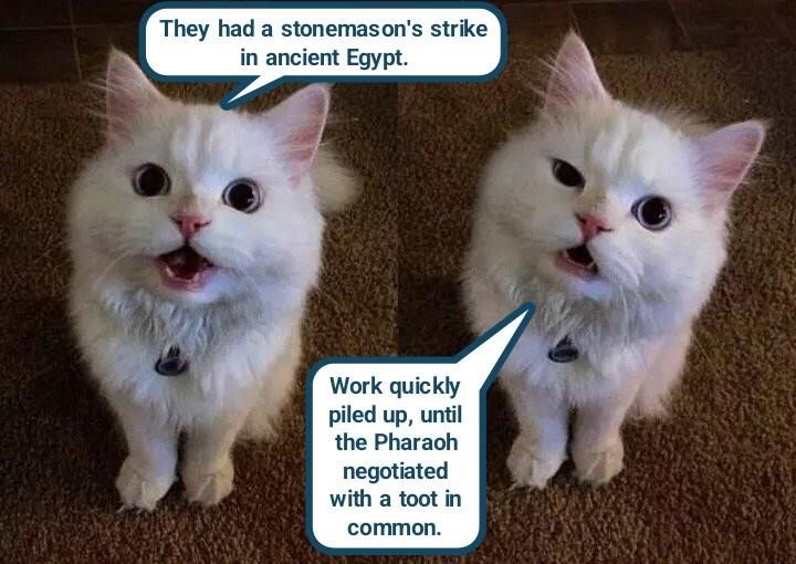 Cheezburger Image 10614290176