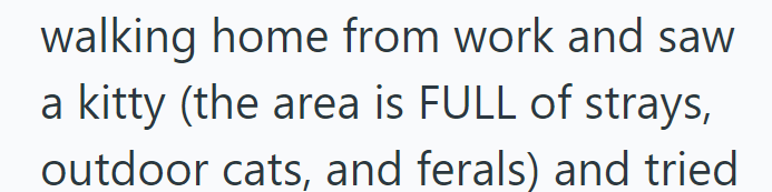 walking home from work and saw a kitty (the area is FULL of strays, outdoor cats, and ferals) and tried