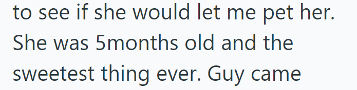 to see if she would let me pet her. She was 5months old and the sweetest thing ever. Guy came