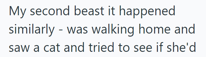 My second beast it happened similarly - was walking home and saw a cat and tried to see if she'd