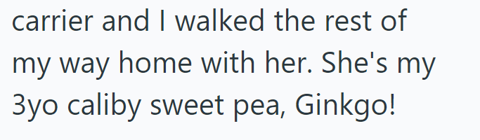 carrier and I walked the rest of my way home with her. She's my 3yo caliby sweet pea, Ginkgo!