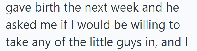 gave birth the next week and he asked me if I would be willing to take any of the little guys in, and I